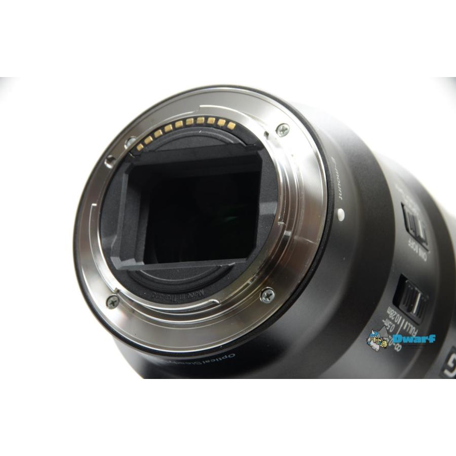 ソニー SONY FE 90mm F2.8 MACRO G OSS E-mount Lens SEL90M28G | SONY | 11