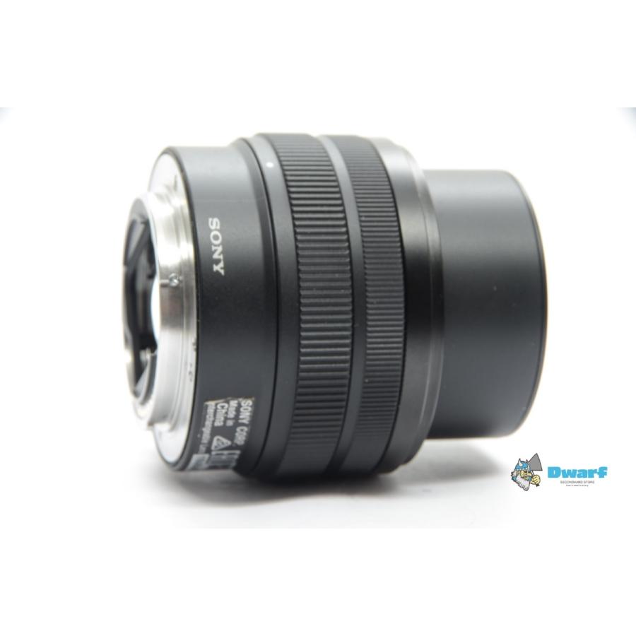 SONY（ソニー） SONY FE 28-60mm F4-5.6 Eマウントレンズ : Dwarf