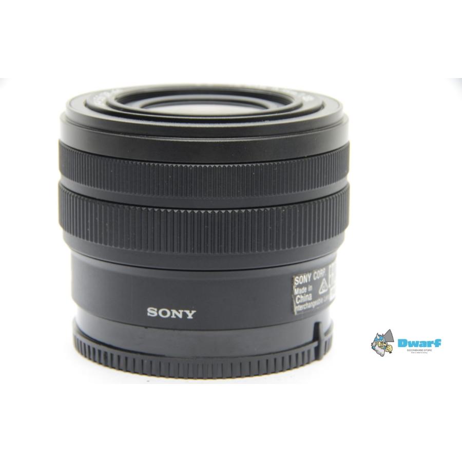 SONY（ソニー） SONY FE 28-60mm F4-5.6 Eマウントレンズ : Dwarf