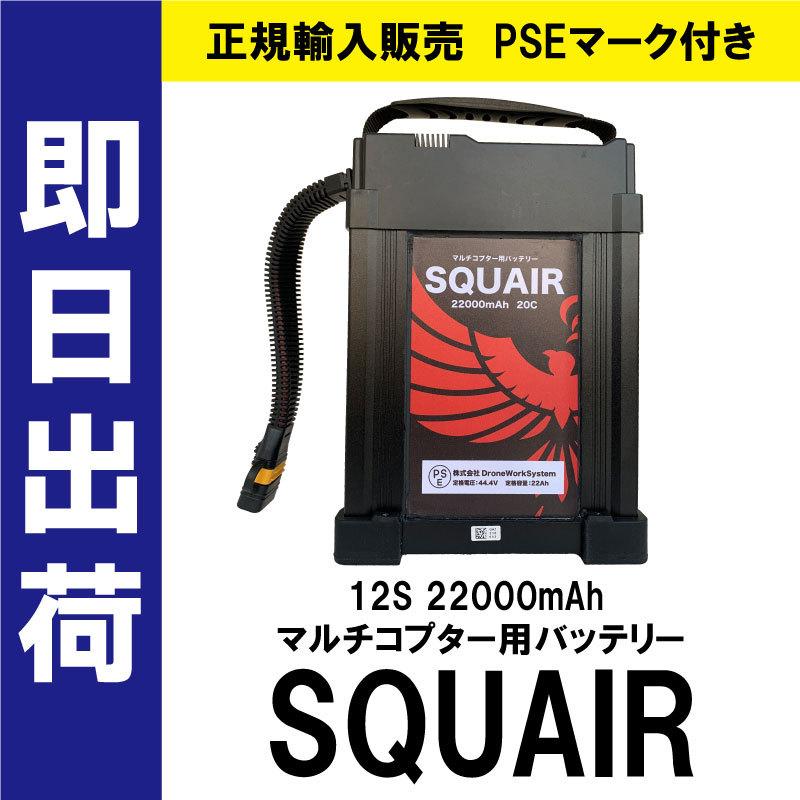 DroneWorkSystem正規輸入販売 PSEマーク付き 12S 22000mAh マルチコプター用 リチウム ポリマー バッテリー SQUAIR