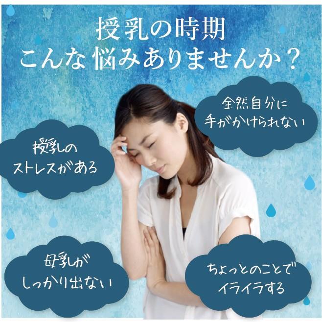 母乳の泉 赤ちゃんニッコリブレンド 50g 授乳中のママのためのハーブティー 出産祝いにも D002 Design With Tea Salon Yahoo店 通販 Yahoo ショッピング