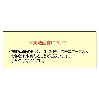 アダルトカジュアルシャツ [ROLLEI] 日本製 長袖 白×ブルー系 草花柄