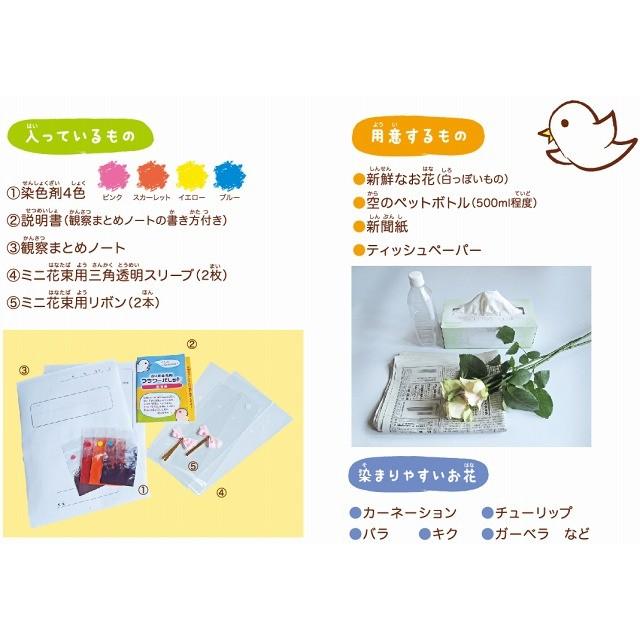 1日でできる自由研究 切り花染色剤 フラワーパレット Fpkp アートフラワーカメレオン 通販 Yahoo ショッピング
