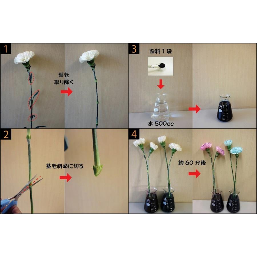 切り花染色剤 フラワーパレット 1回分 1色 Fpp0001 アートフラワーカメレオン 通販 Yahoo ショッピング