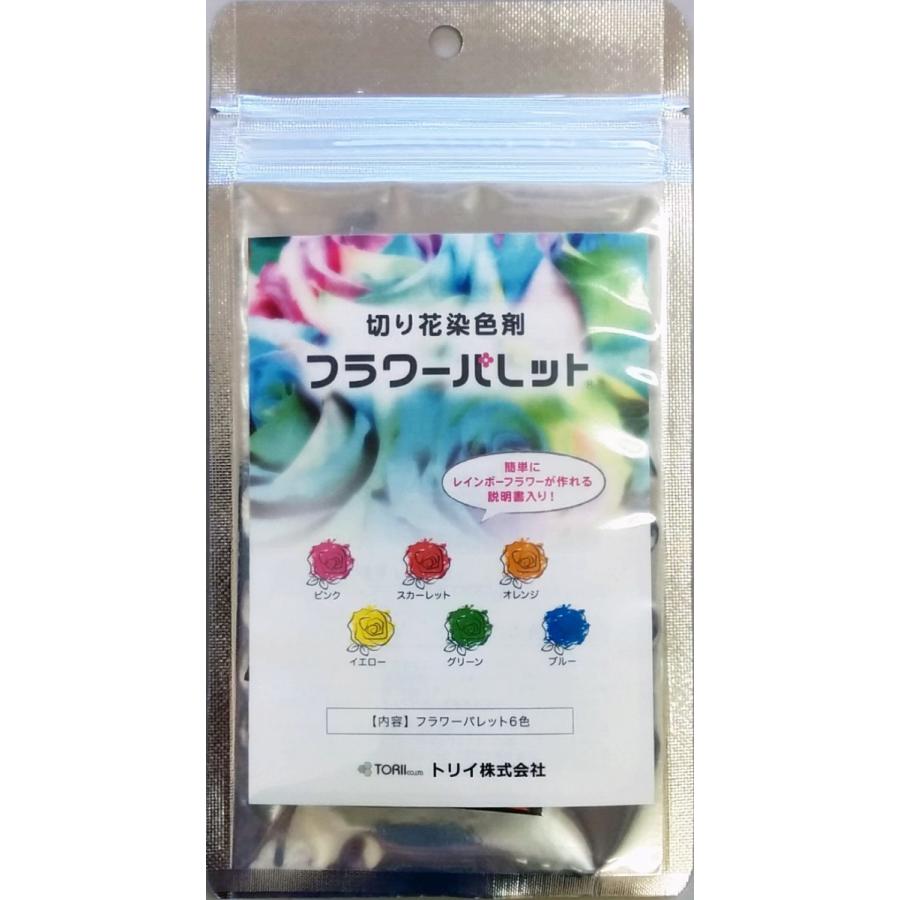 切り花染色剤 フラワーパレット 1回分 6色セット Llamaarchitects Co Uk