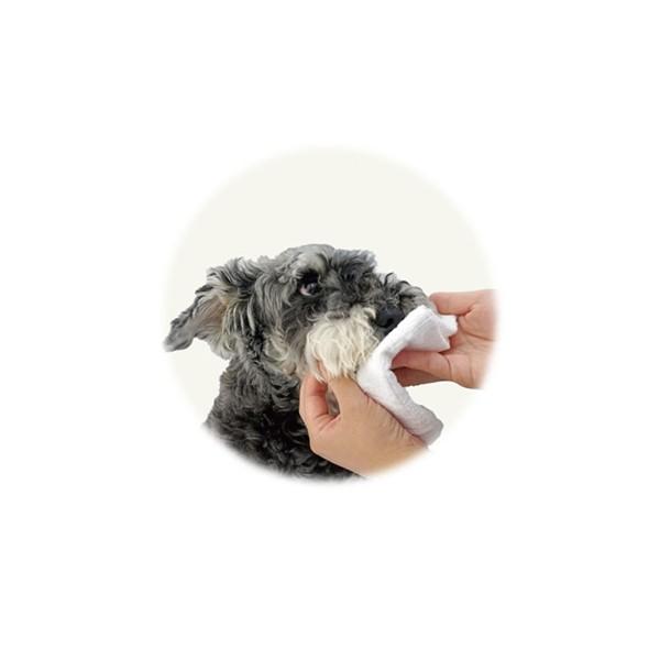 セットアップ PREMISTY プレミスティー 除菌 消臭 洗浄 犬 猫 ペット用クレンジングスプレー ドライシャンプー<br><br> PREMISTY プレミスティー 500ml つめかえパック 顔 からだ おしり クリーナー 犬 猫 ペット用 洗い流さない クレンジング