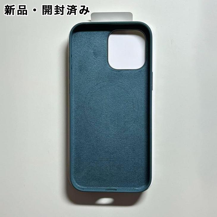 iPhone Apple純正 MagSafe対応 16 Pro Max シリコンケース・レイク