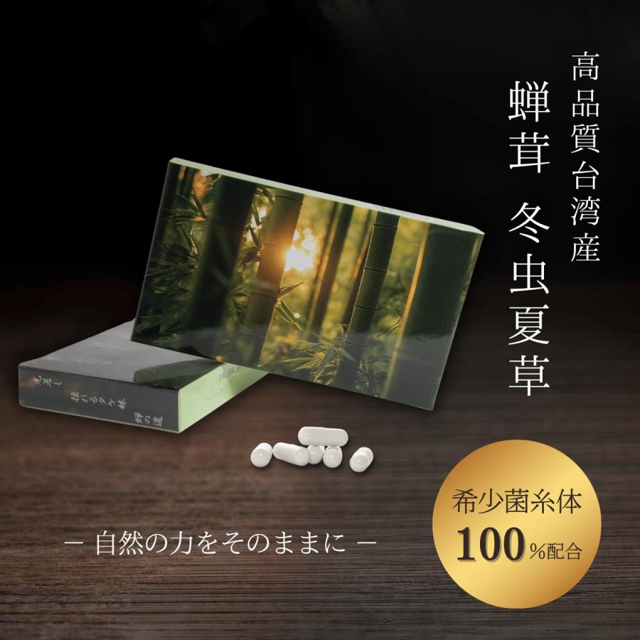 漢方冬虫夏草菌糸体含有加工食品　5箱 冬虫夏草菌糸体 冬虫夏草 サプリメント 健康食品 セミタケ 60粒入り