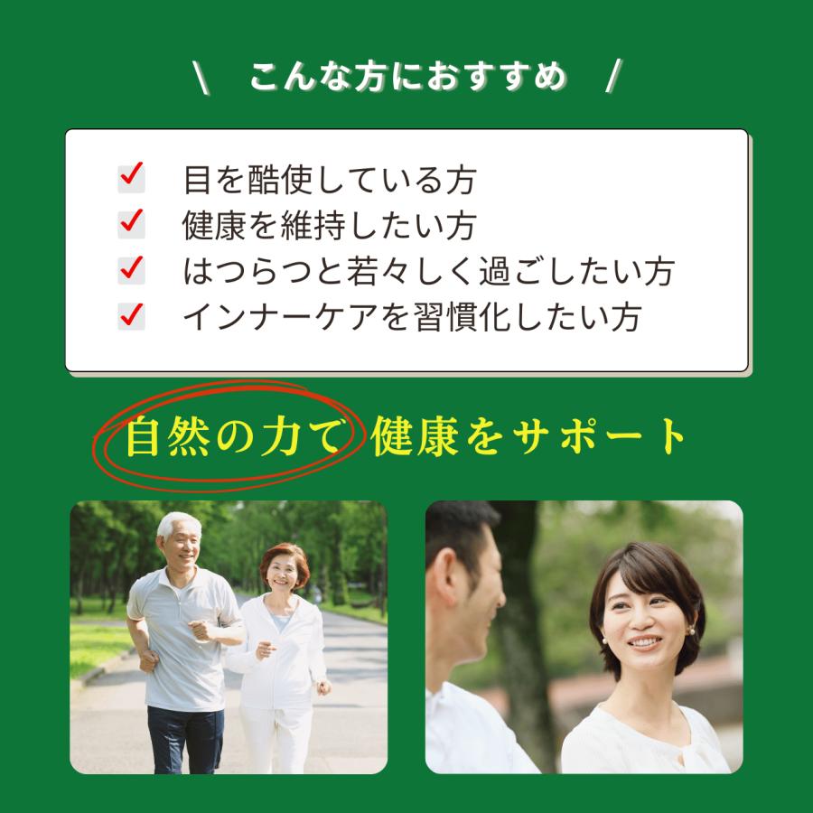 冬虫夏草菌糸体 冬虫夏草 サプリメント 健康食品 セミタケ 60粒入り