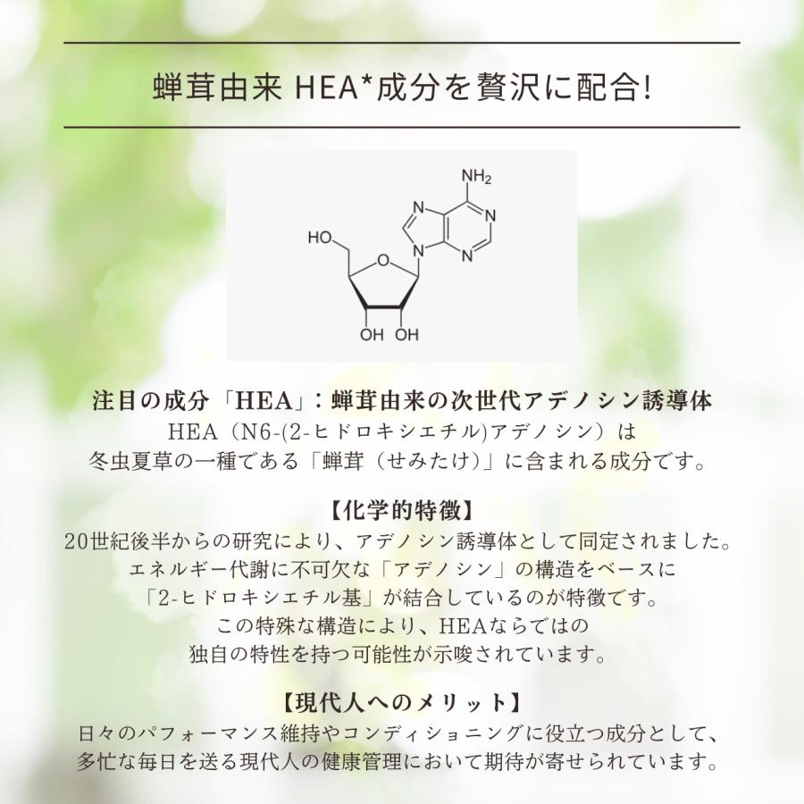冬虫夏草菌糸体 冬虫夏草 サプリメント 健康食品 セミタケ 60粒入り