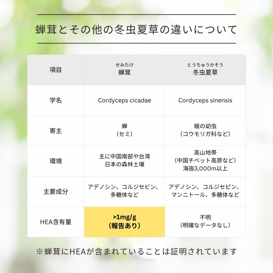 冬虫夏草菌糸体 冬虫夏草 サプリメント 健康食品 セミタケ 60粒入り