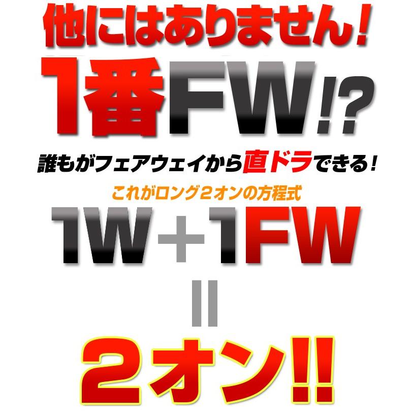 ゴルフ クラブ 2本セット フェアウェイウッド 1w 2w 3w 4w 5w メンズ フォーサイト FWプレミア飛匠極シャフト仕様 R SR S プロギア 20 01IRON 6I(#5-P) ST M43