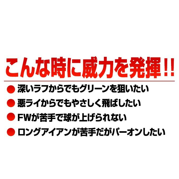 ゴルフ クラブ メンズ ユーティリティー 2本セット U3 U5 17度 21度 ワークスゴルフ マキシマックスUT 標準カーボンシャフト仕様 R S｜dyna-golf｜05