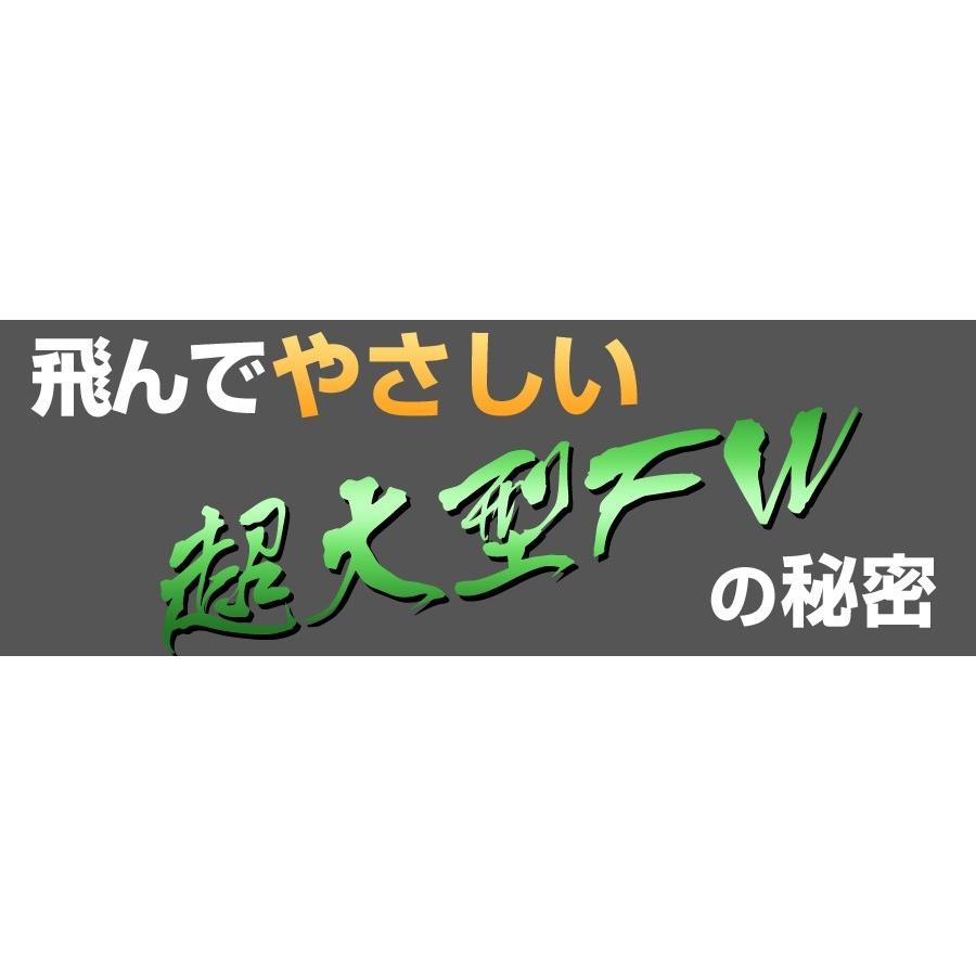 ゴルフ クラブ メンズ 3本セット ドライバー フェアウェイウッド ルール適合 ダイナミクス プレミア飛匠・極シャフト仕様 + ダイナミクスFW #3 #5 9.5度 10.5度