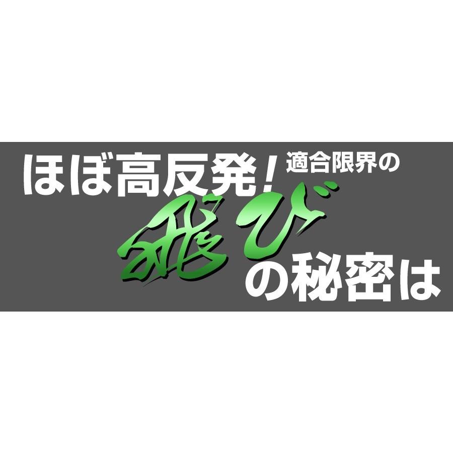 ゴルフ クラブ メンズ 3本セット ドライバー フェアウェイウッド ルール適合 ダイナミクス プレミア飛匠・極シャフト仕様 + ダイナミクスFW #3 #5 9.5度 10.5度
