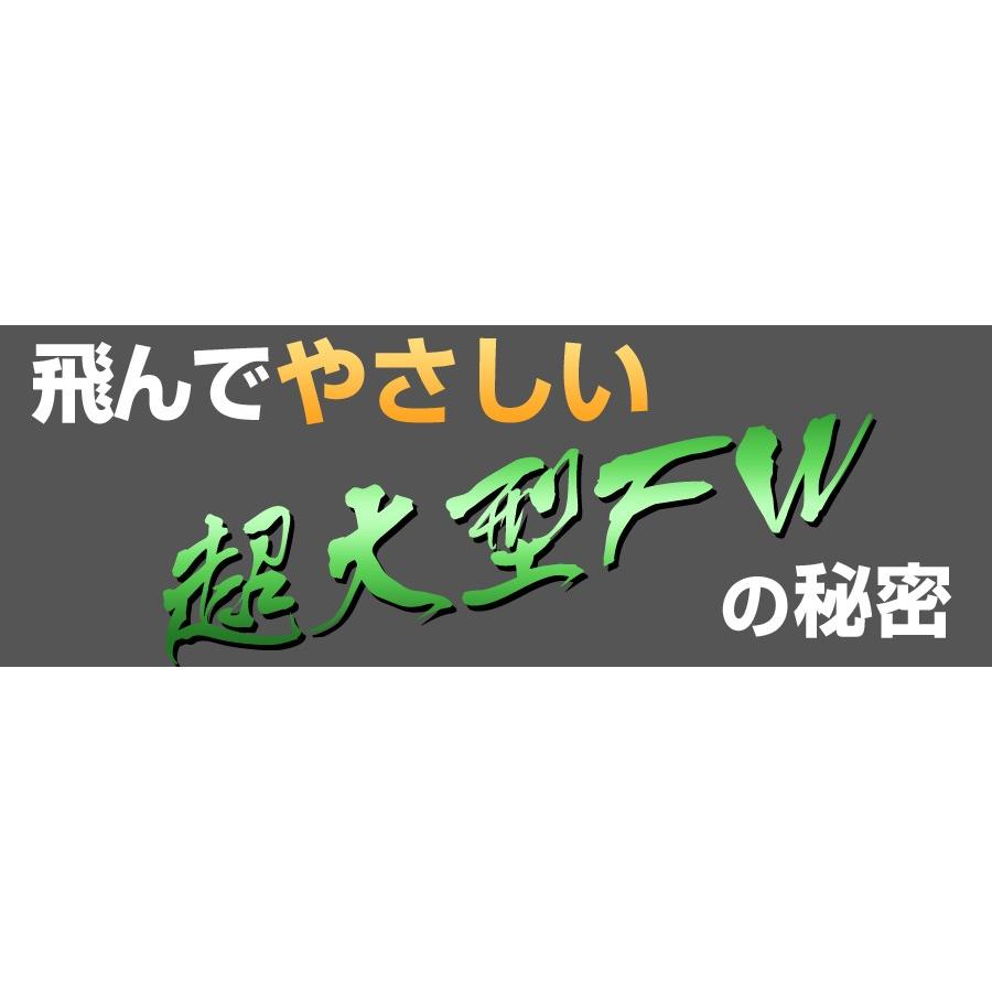 DYNAGOLF（ダイナゴルフ） ゴルフ クラブ メンズ 3本セット ルール適合