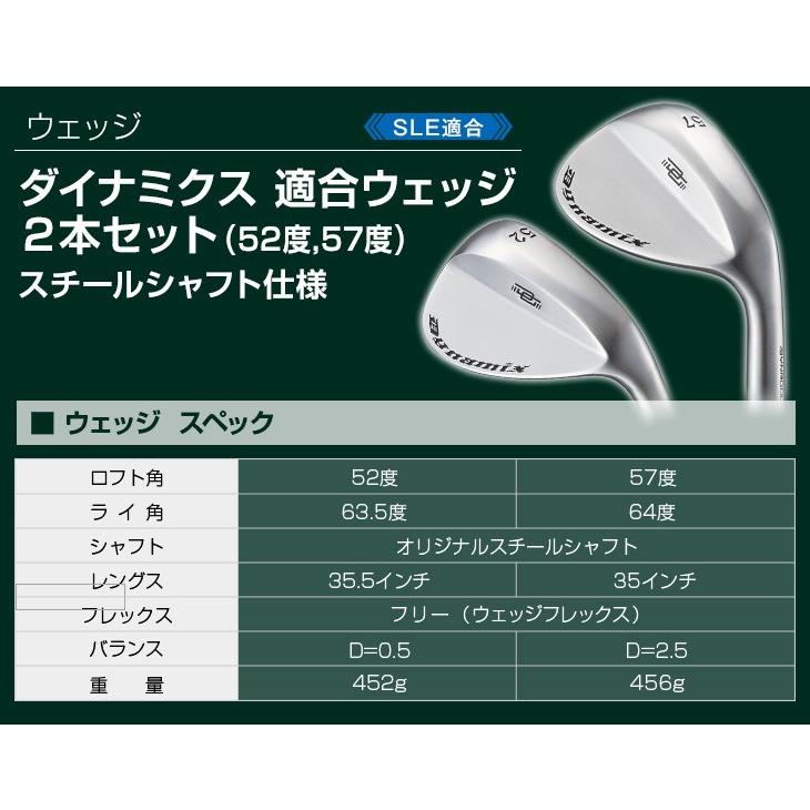 DYNAGOLF（ダイナゴルフ） ゴルフ クラブセット メンズ ダイナミクス 9