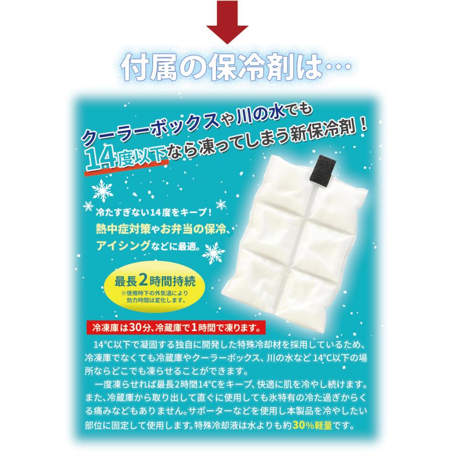 保冷バッグ 6L 冷蔵庫で凍る保冷剤付き 高性能 付属品 黒 頑丈 持ち手