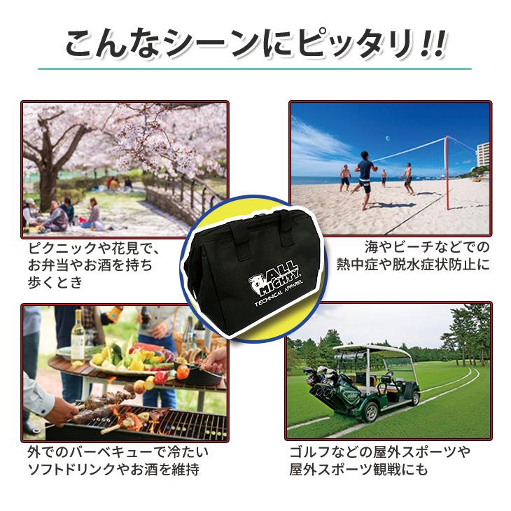 保冷バッグ 6L 冷蔵庫で凍る保冷剤付き 高性能 付属品 黒 頑丈 持ち手
