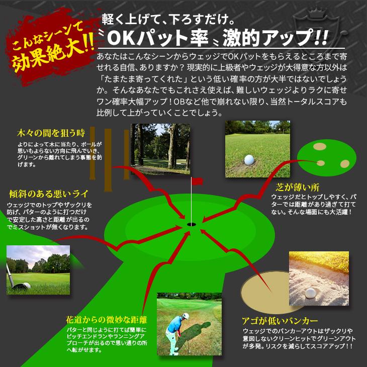 DYNAGOLF（ダイナゴルフ） ゴルフ クラブ チッパー 34インチ ロフト角