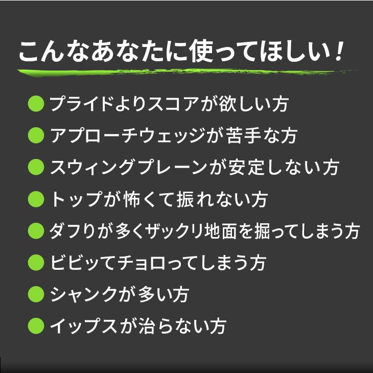 DYNAGOLF（ダイナゴルフ） ゴルフ クラブ チッパー 34インチ ロフト角
