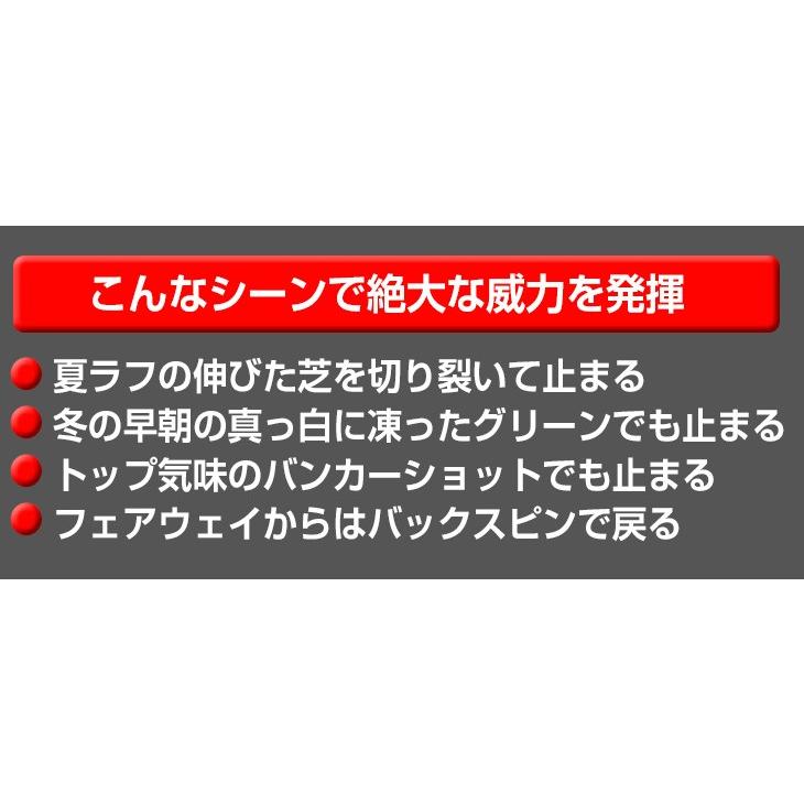 ゴルフ クラブ ウェッジ メンズ 単品 ダイナミックゴールド 48度 52度 57度 ダイナミクス ハイスピンウェッジ トゥルーテンパー｜dyna-golf｜09