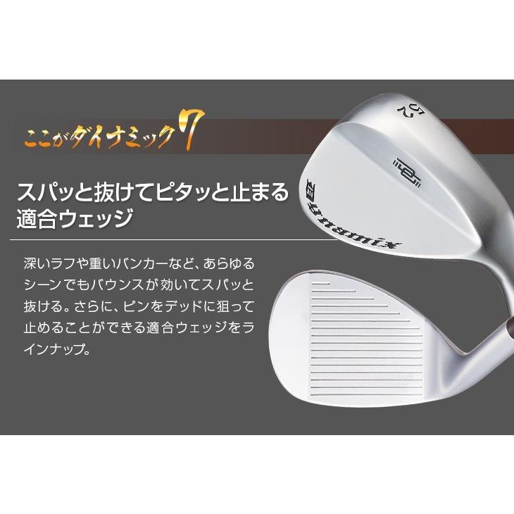 DYNAGOLF（ダイナゴルフ） ゴルフ クラブ メンズ アイアンセット 8本