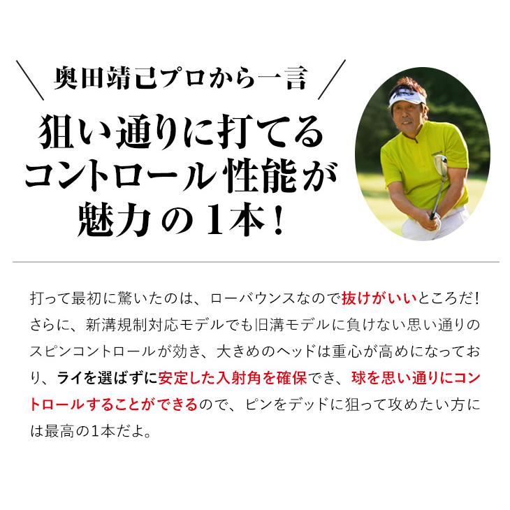 ワークスゴルフ ゴルフ クラブ メンズ ウェッジ 51度 ダイナツアー
