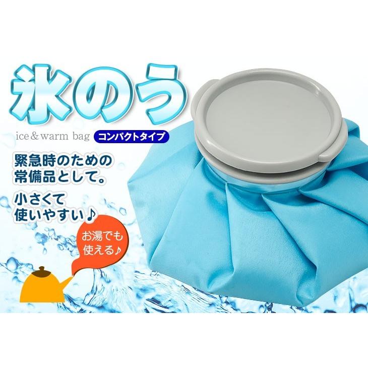 氷嚢 氷のう アイスバッグ コンパクト アイシングバッグ ゴルフ 熱中症