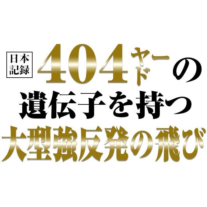 ワークスゴルフ ゴルフ クラブ ドライバー メンズ 46インチ ルール適合