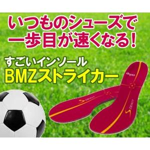 Bmzインソール カルパワースマート ストライカー 薄型モデル 赤 Bmz Striker Usugata イースリーショップ 通販 Yahoo ショッピング