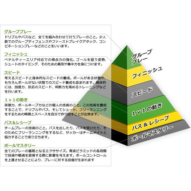 新品本物 Dvd 2巻セット クーバー コーチングの1対1トレーニングdvd サッカー トレーニング 練習法 指導法 楽天 Zoetalentsolutions Com