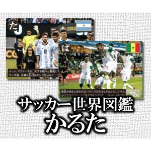 サッカー世界図鑑かるた スクワッド Sekaizukan Carta イースリーショップ 通販 Yahoo ショッピング