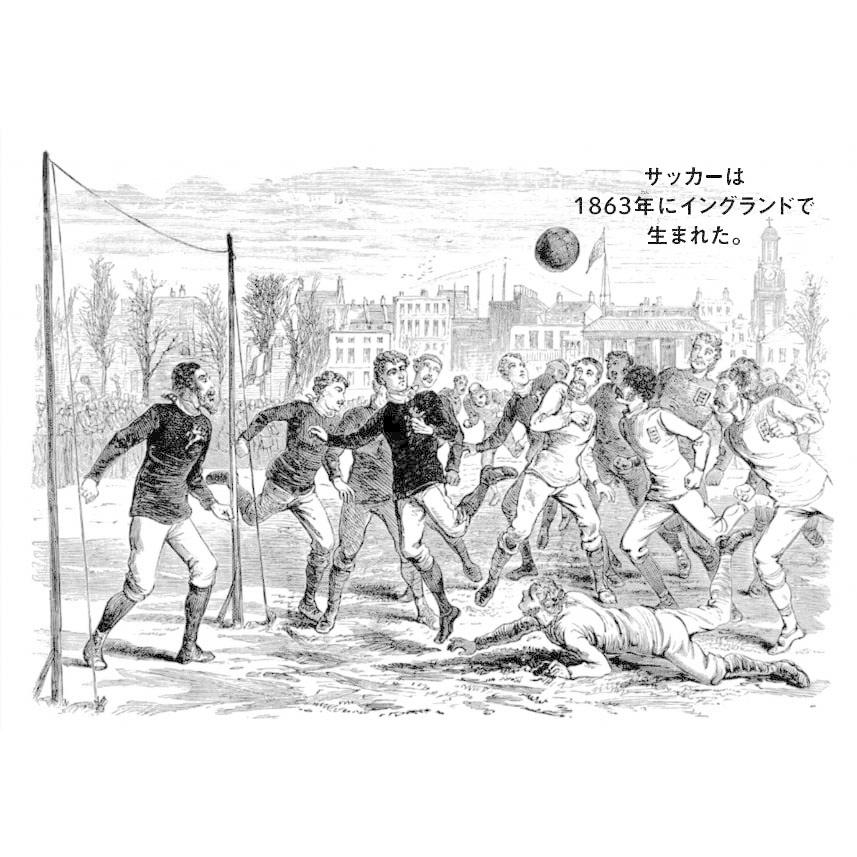 親子で学ぶ サッカー世界図鑑 イングランド編／スクワッド