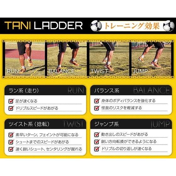 タニラダー ベーシック　シングルセット　ラダートレーニング　サッカー　解説DVD付き　送料無料