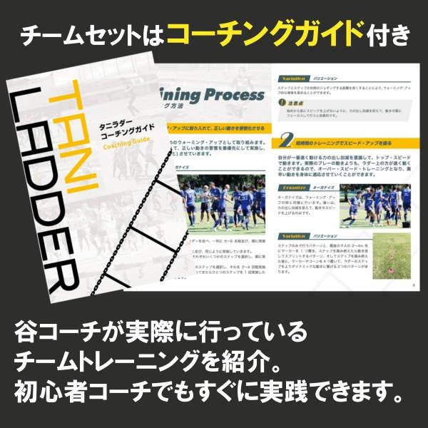 タニラダー ベーシック チーム用ラダー4本セット 解説dvdとコーチングガイド付き 送料無料 Taniladderset イースリーショップ 通販 Yahoo ショッピング