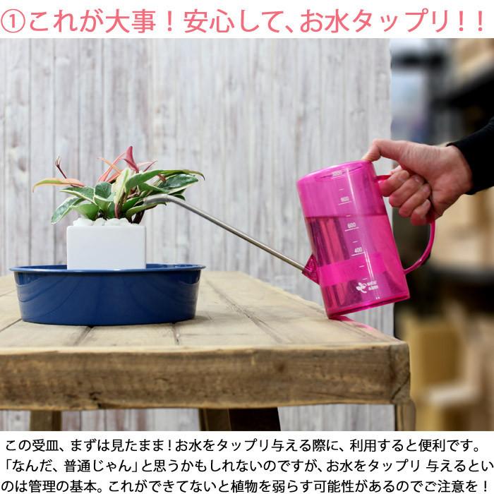 受け皿 軽い 深皿 中深皿 便利 撥水性がよい 2枚セット 8号 : e-花屋