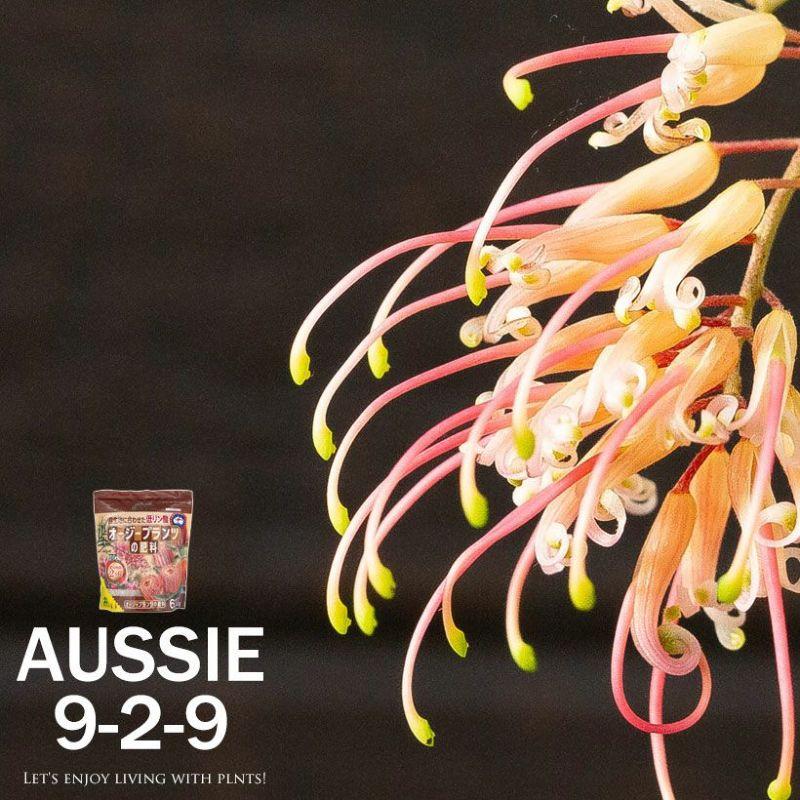 オージープランツの肥料【谷型成分9：2：9】600グラム : e-花屋さん