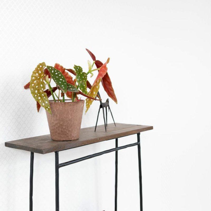 観葉植物 種類 室内 おしゃれ ベゴニア・マクラータ樹脂POT☆水玉模様