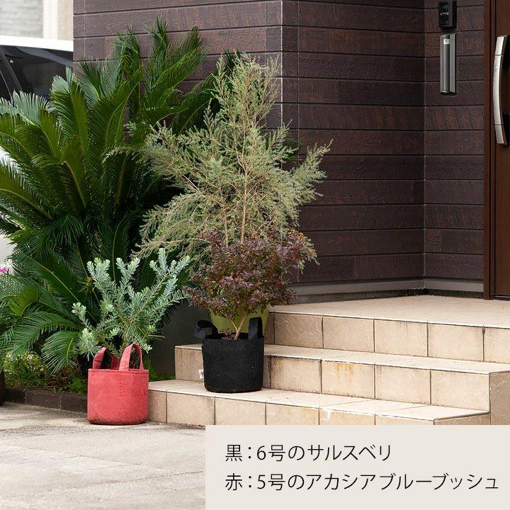 VALIEM バリエム　植木鉢　XSサイズ　ポーチ付 2025年最新】Yahoo!オークション -バリエム 鉢の中古品・新品