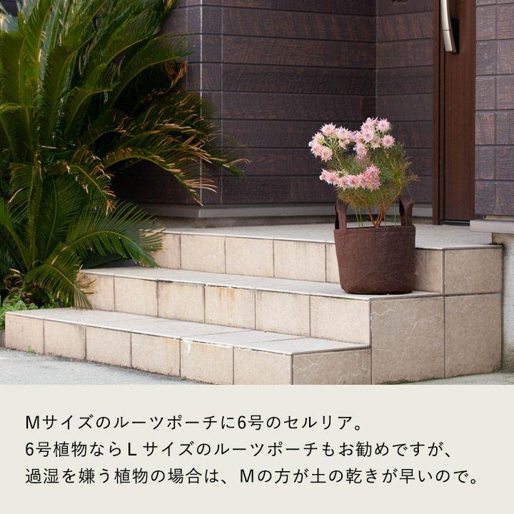 ルーツポーチMサイズ（直径25cm ＃3） 鉢 root pouch 不織布