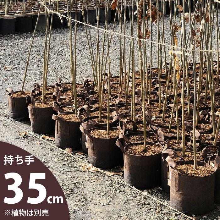 ルーツポーチLLサイズ：持ち手type（直径35cm ＃7） 鉢 root