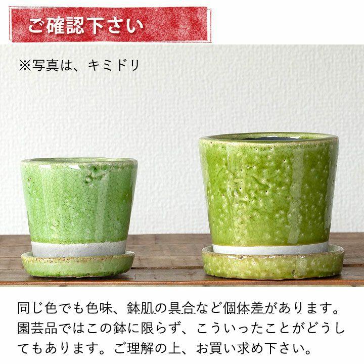 植木鉢 陶器鉢 JUNK風おしゃれツートンカラーの陶器鉢 2.5号 3号 4号
