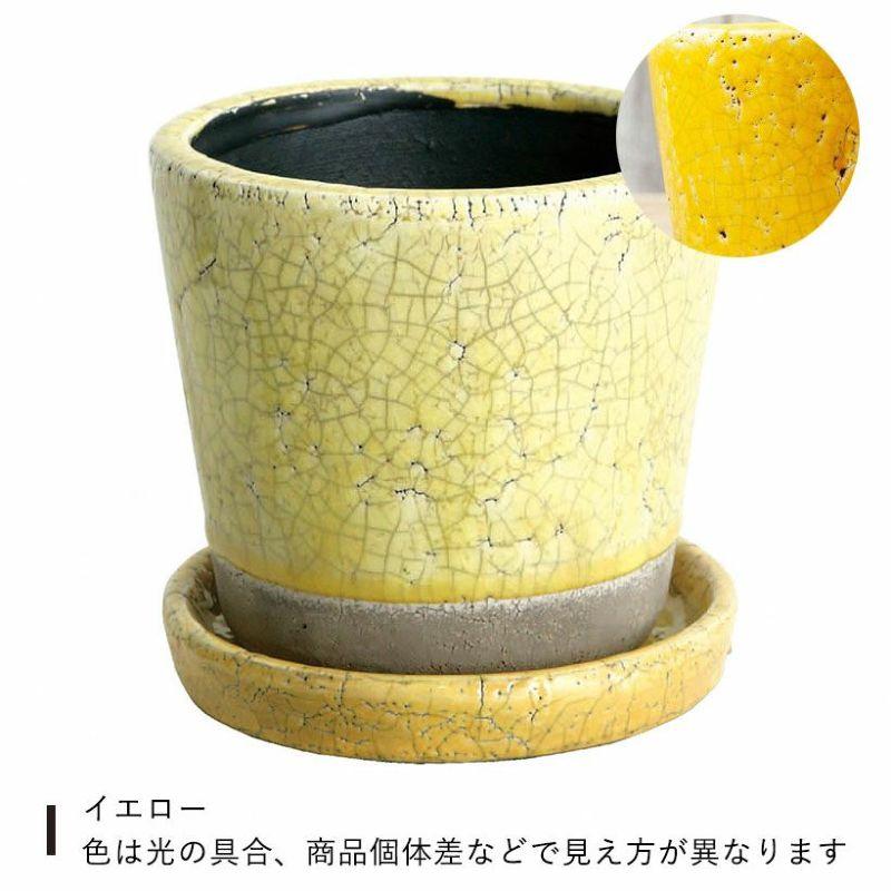 観葉植物、インテリア、陶器 観葉植物の販売・ギフトならフラワーコーポレーション / 観葉植物 種類