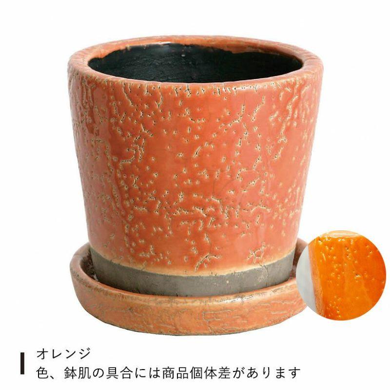 植木鉢 おしゃれ JUNK風おしゃれツートンカラーの陶器鉢 観葉植物 鉢