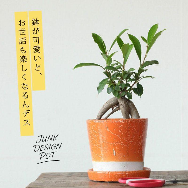 植木鉢 おしゃれ JUNK風おしゃれツートンカラーの陶器鉢 観葉植物 鉢