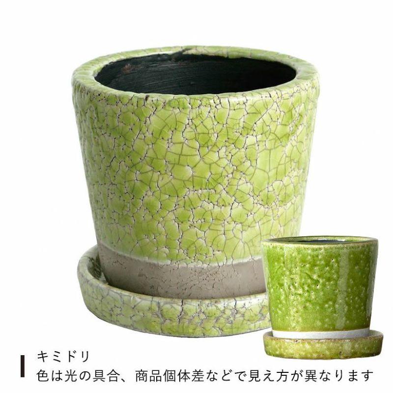 植木鉢 おしゃれ JUNK風おしゃれツートンカラーの陶器鉢 観葉植物 鉢