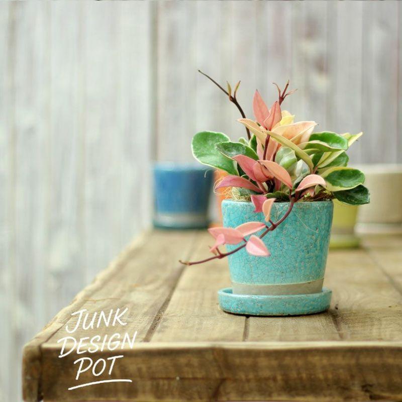 植木鉢 おしゃれ JUNK風おしゃれツートンカラーの陶器鉢 観葉植物 鉢