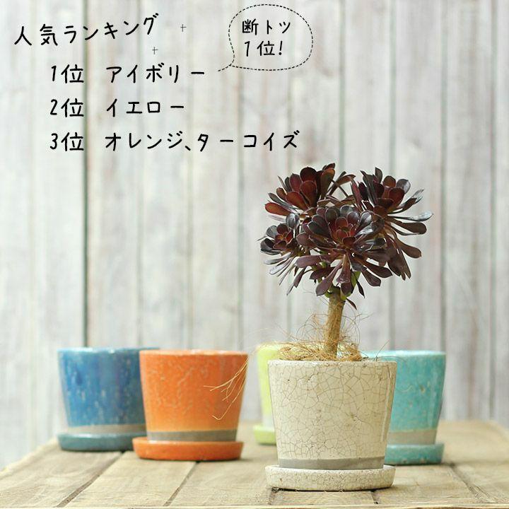 植木鉢 陶器鉢 JUNK風おしゃれツートンカラーの陶器鉢 2.5号 3号 4号