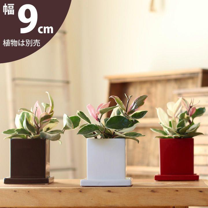 植木鉢 おしゃれ 陶器鉢 定番スタイル スクエア陶器 9cm E 花屋さん Crei1 Cb36 E 花屋さん 通販 Yahoo ショッピング